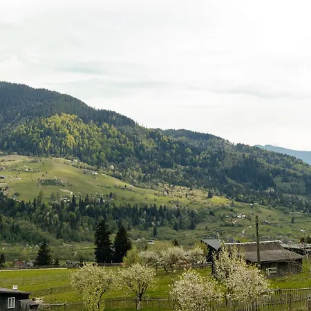 Vershky Villa *